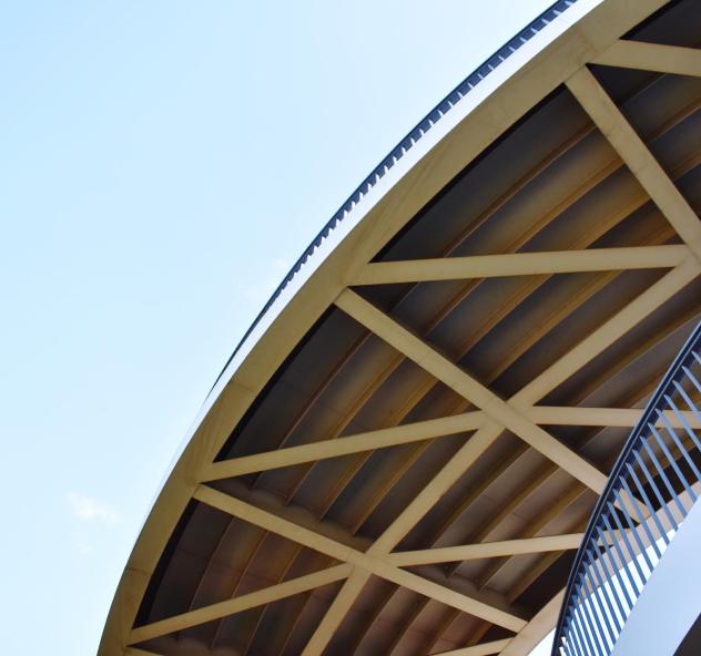 Shearwalls - Canadian Version