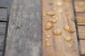 Moisture and Wood