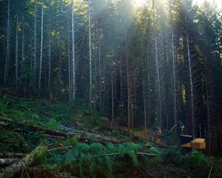 Le Conseil canadien du bois (CCB) joue un rôle de premier plan dans la promotion des codes et des normes de construction en bois.