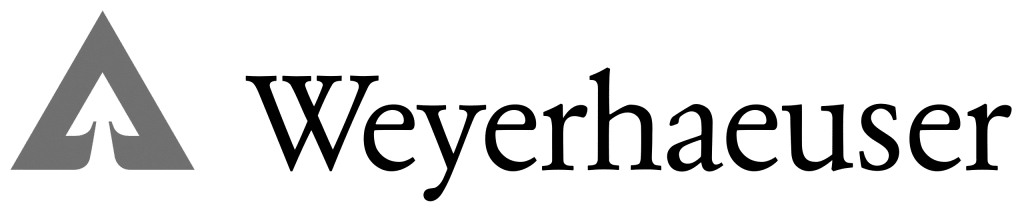 V2- nternal Search - Copy