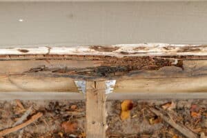 Wood Decay and Repair