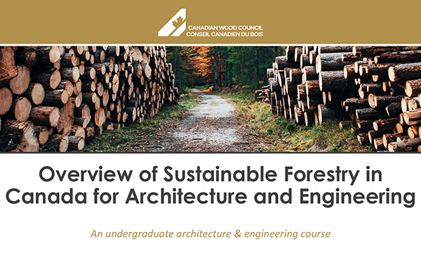 Aperçu de la sylviculture durable