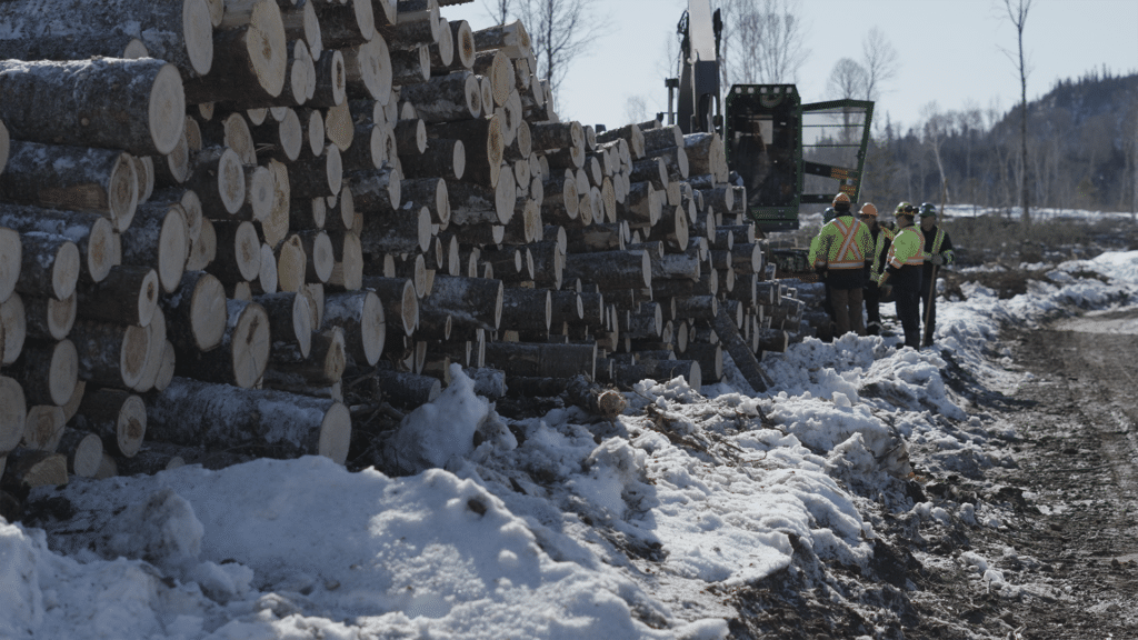 Canadian Wood Council Annual Report 2025
